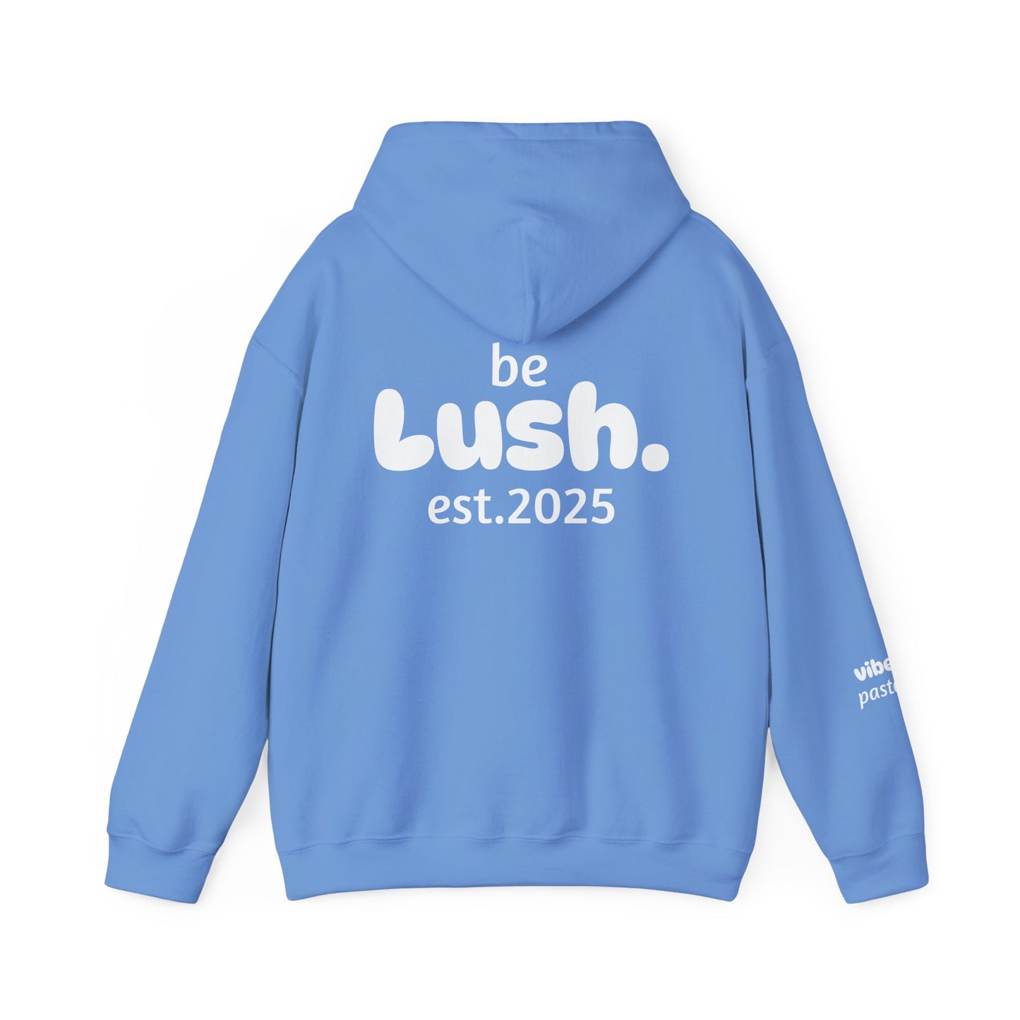 Pastel Style Hoodie