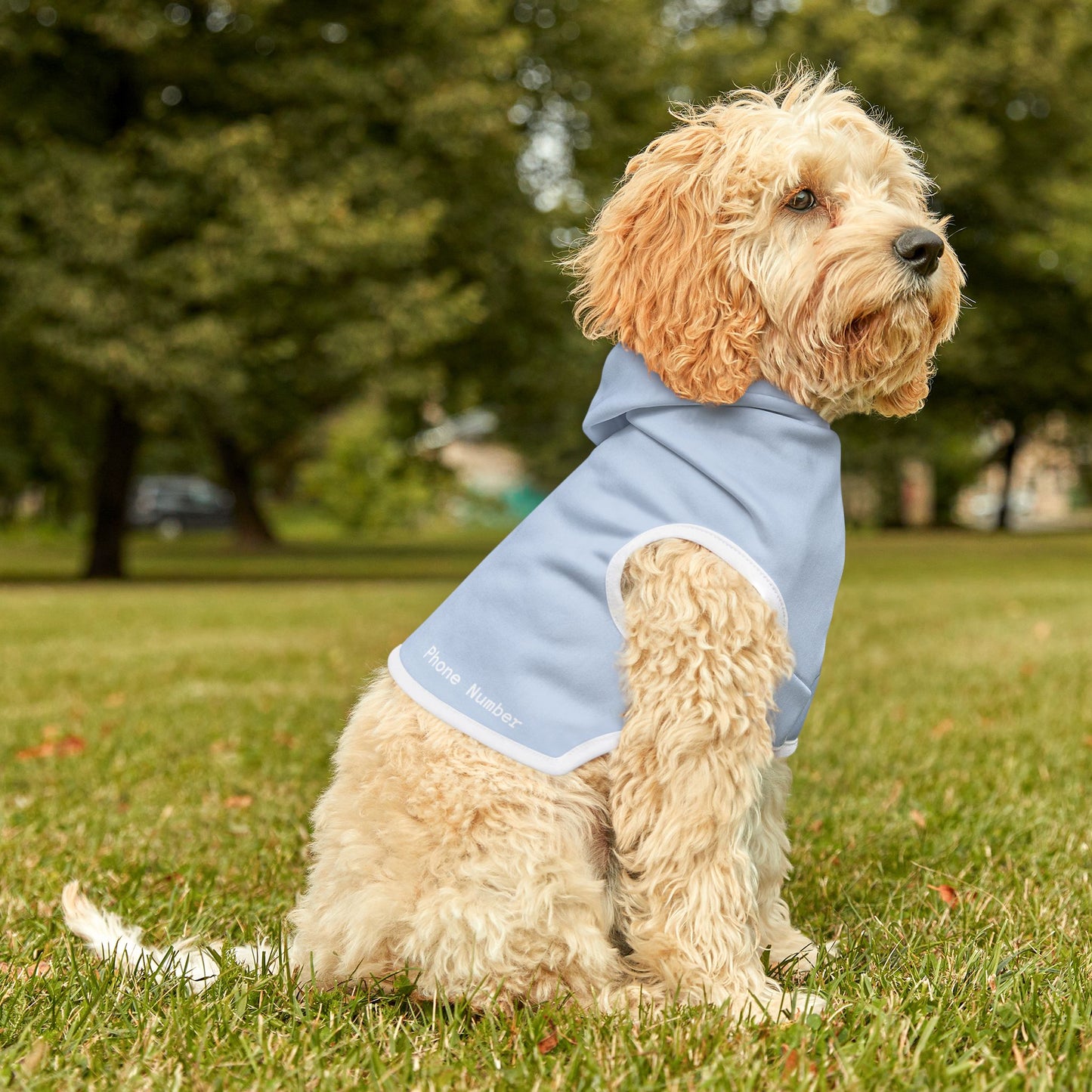 Pastel Light Blue Pet Hoodie