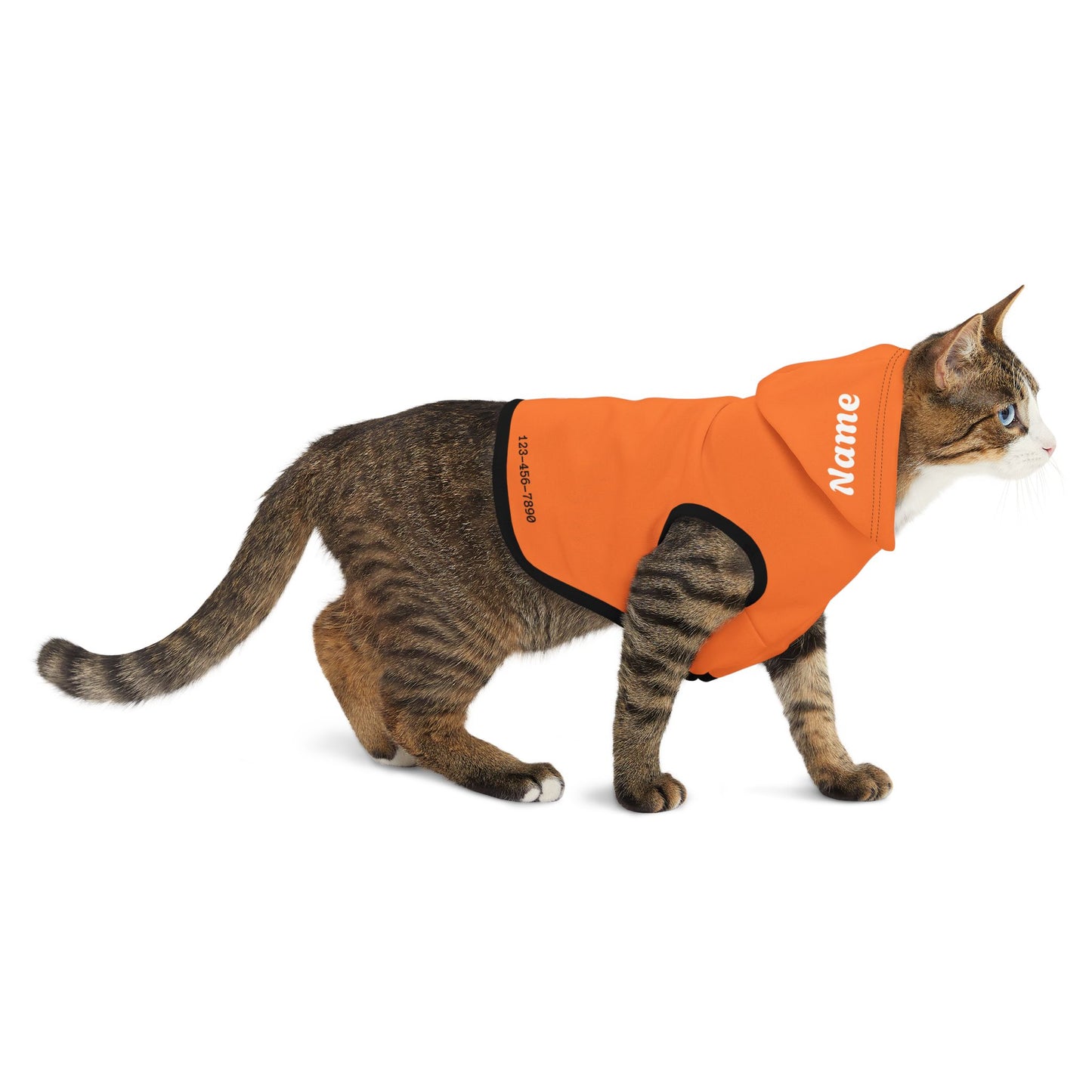 Minimalistic Pumpkin Pet Hoodie