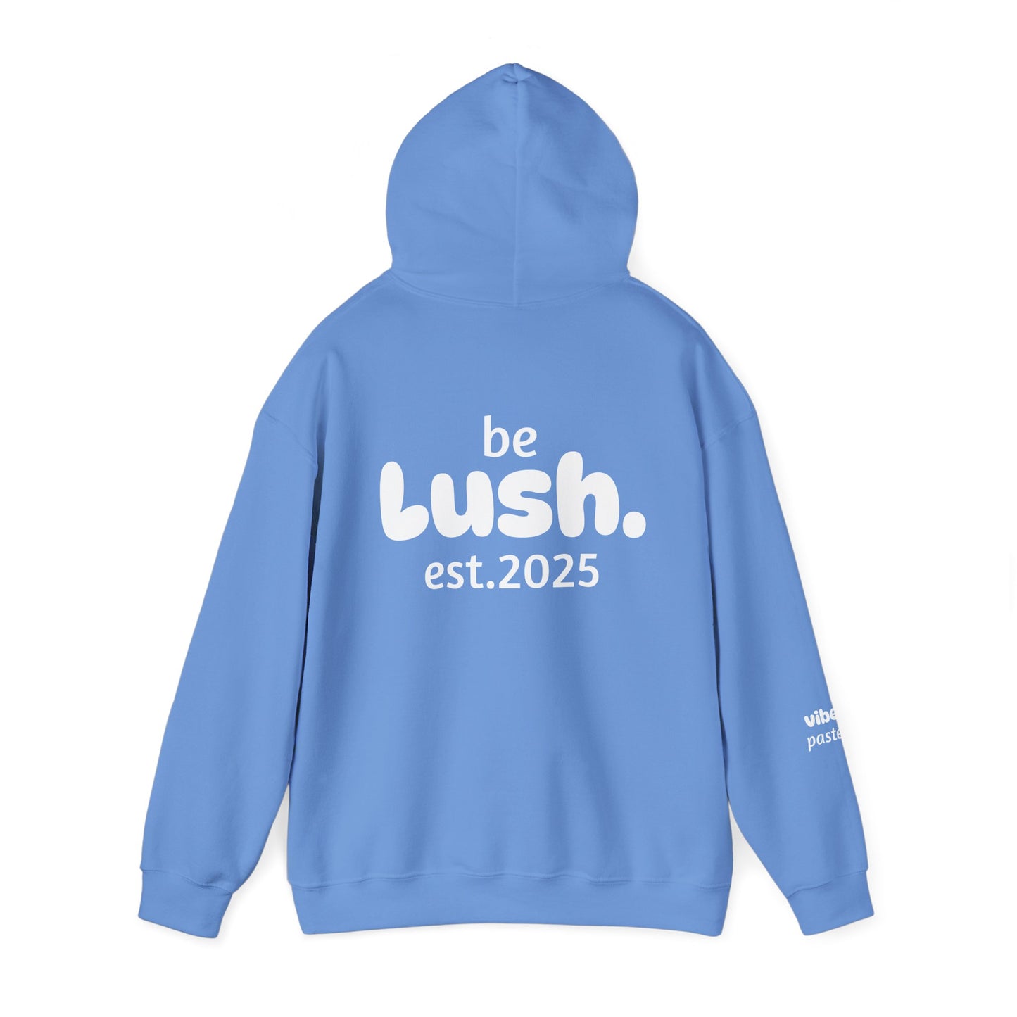 Pastel Style Hoodie