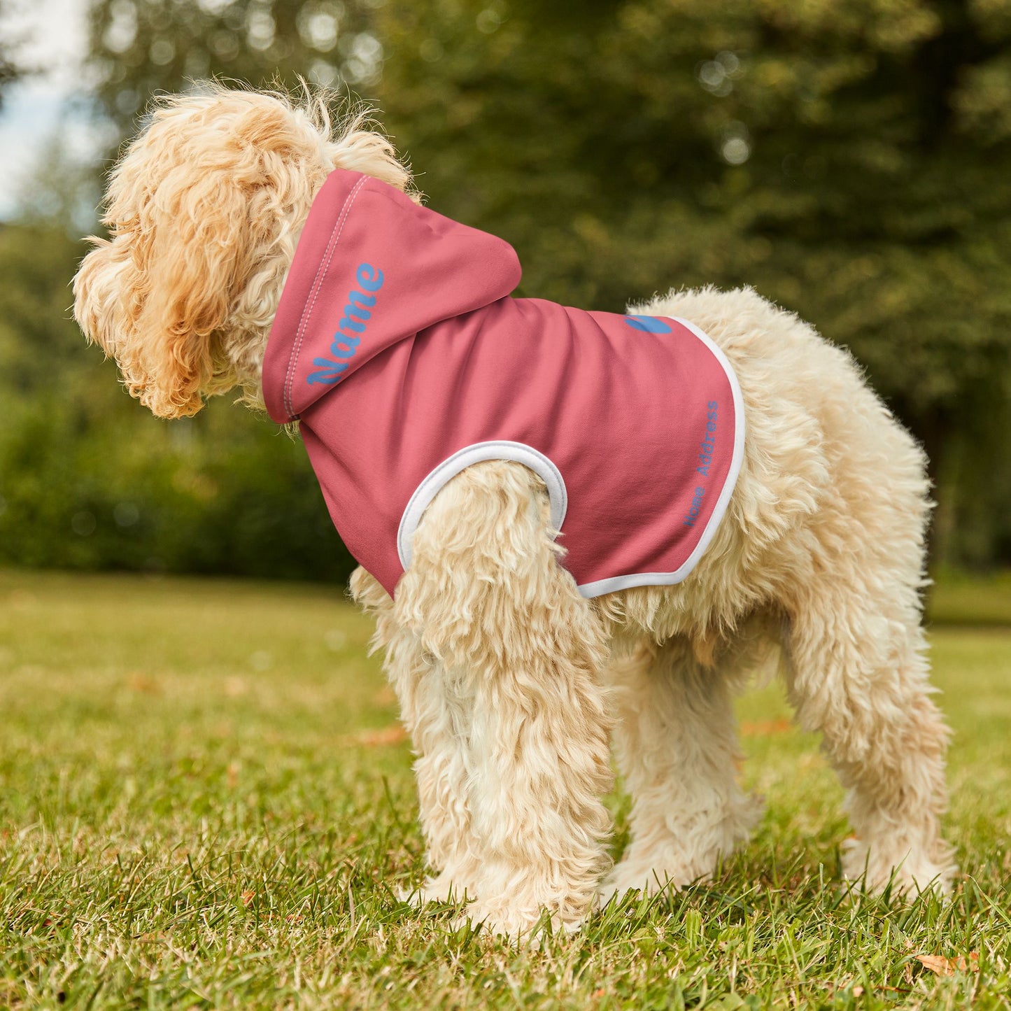 Pastel Safety Pink Pet Hoodie