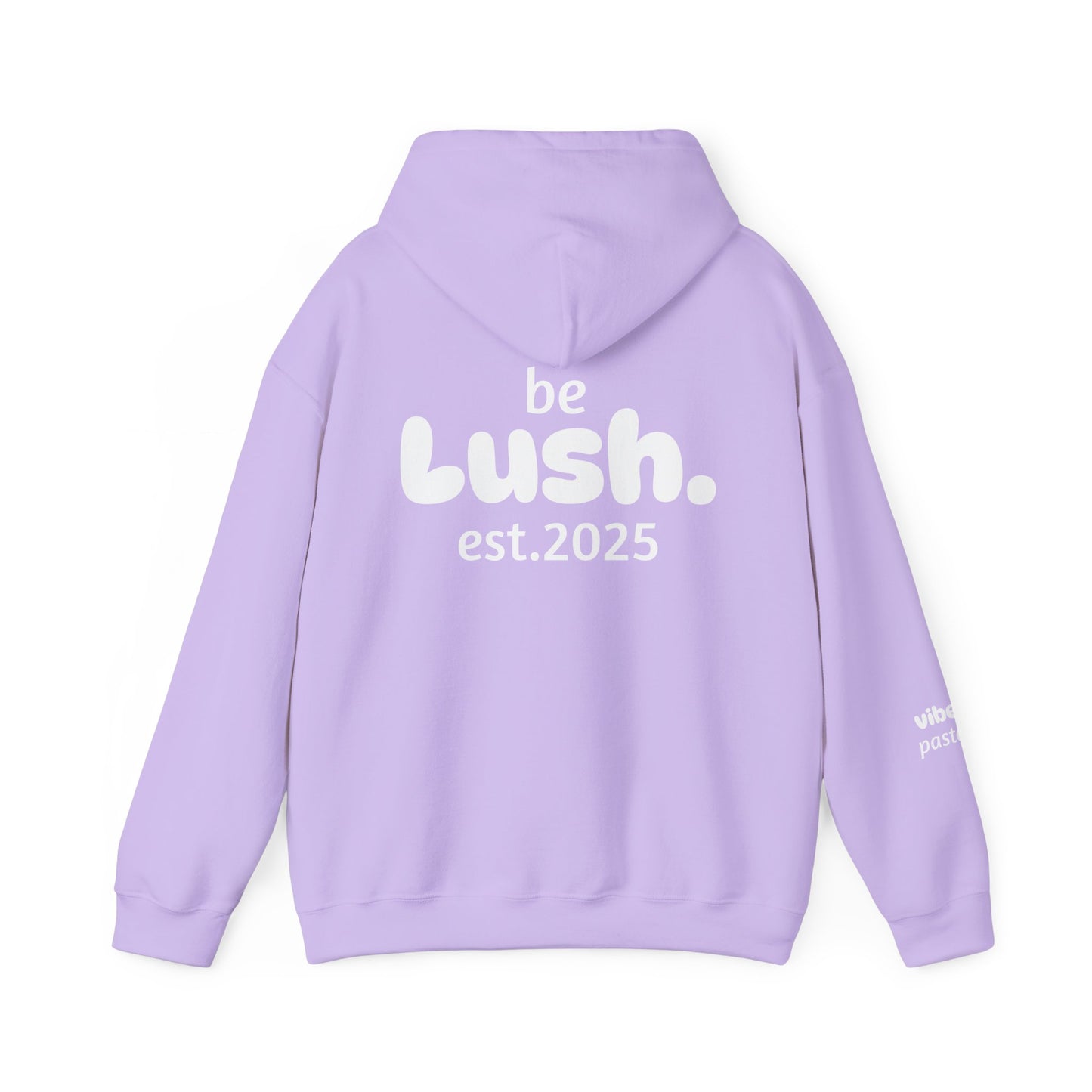 Pastel Style Hoodie