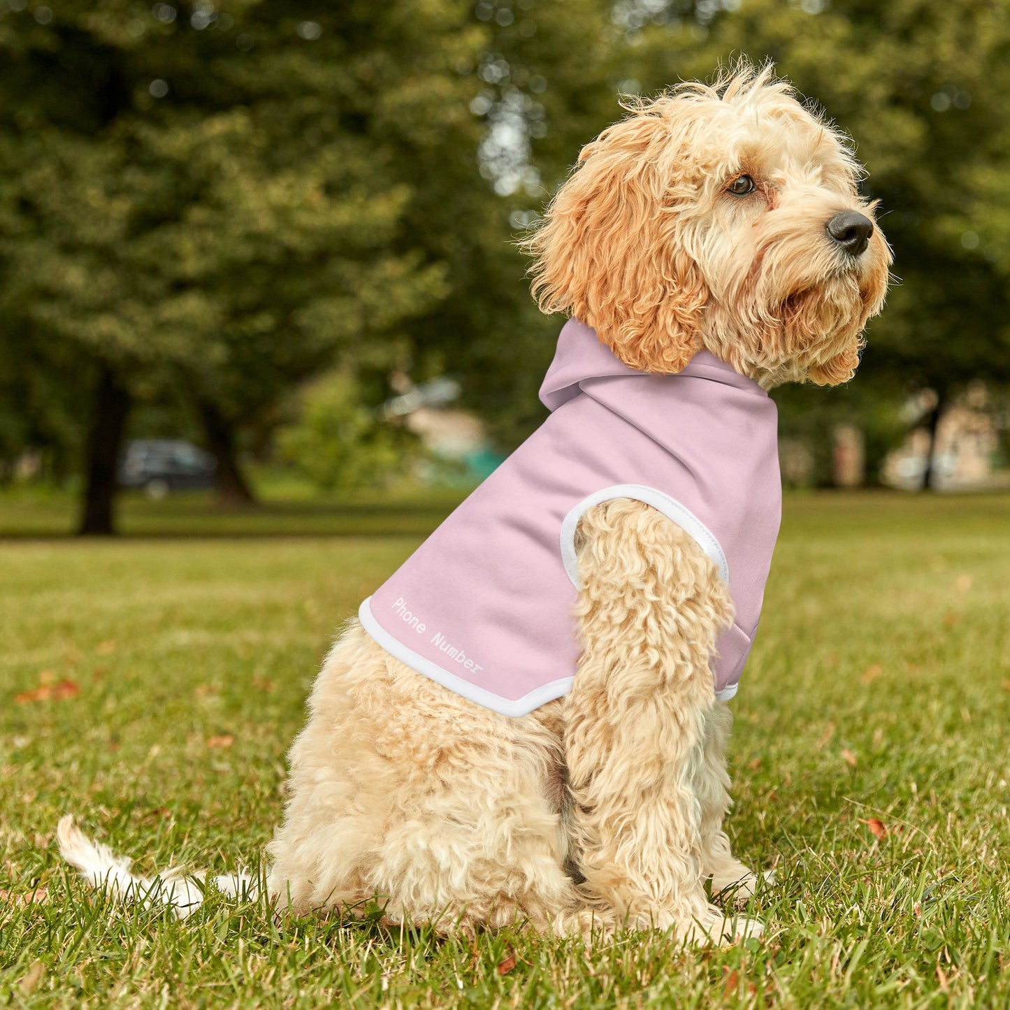 Pastel Light Pink Pet Hoodie