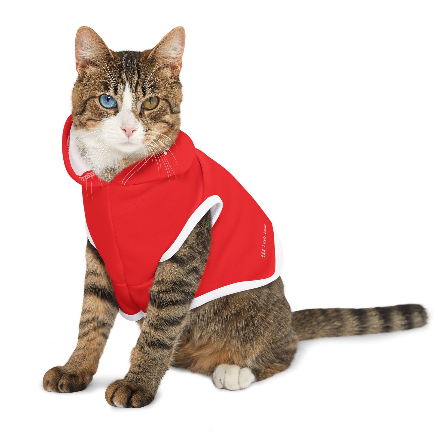Santa's Pet Hoodie