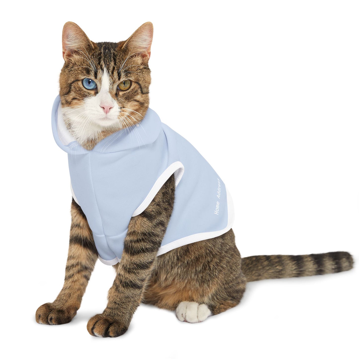 Pastel Light Blue Pet Hoodie