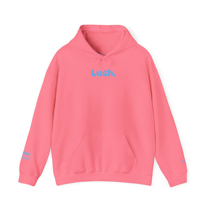 Pastel Style Hoodie