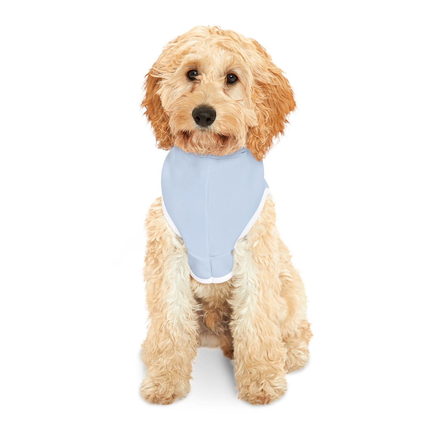 Pastel Light Blue Pet Hoodie