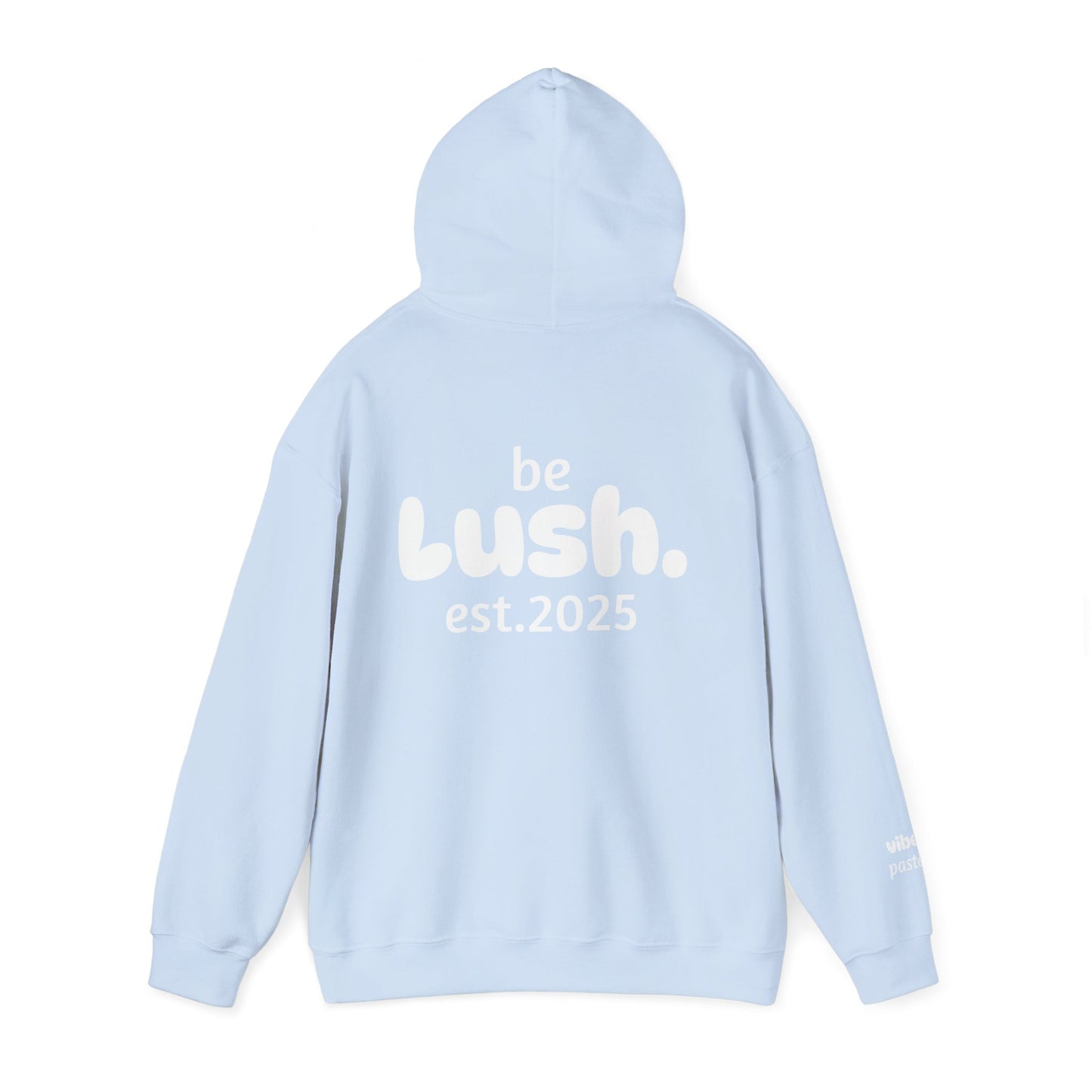 Pastel Style Hoodie