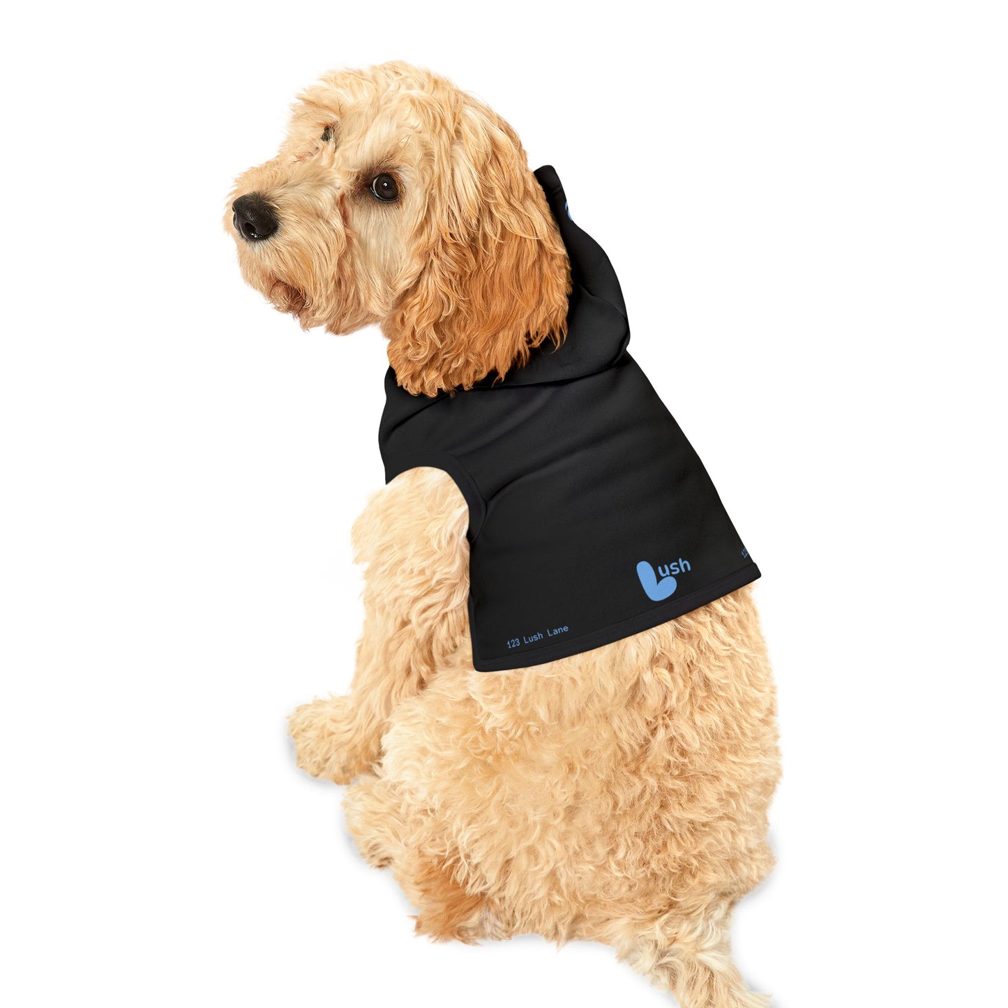 Black Blue Pet Hoodie