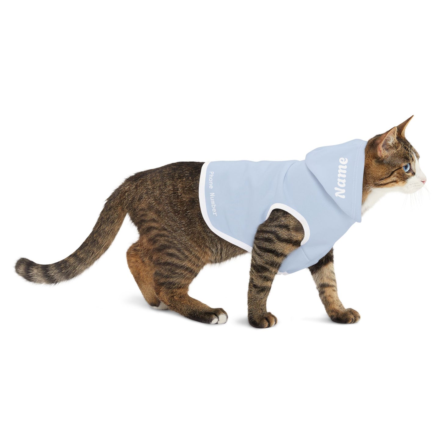 Pastel Light Blue Pet Hoodie