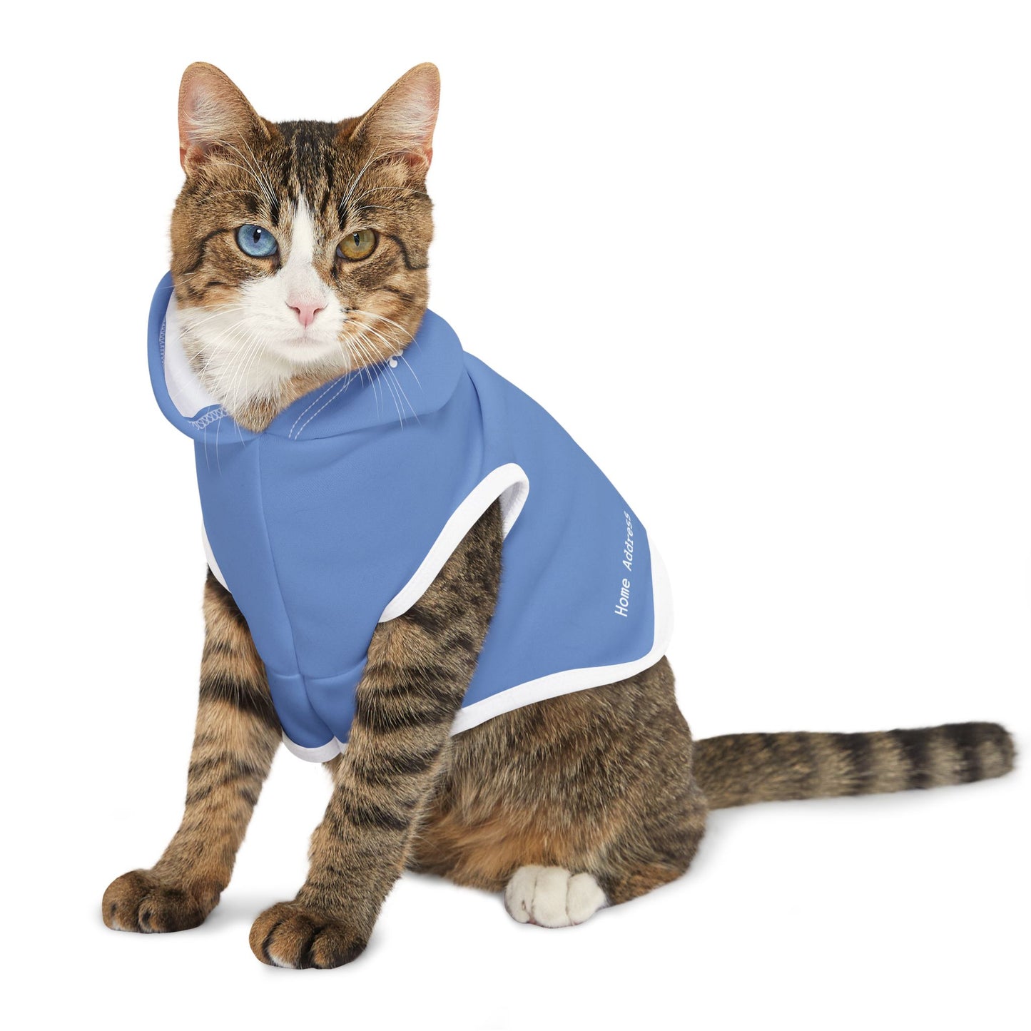 Pastel Carolina Blue Pet Hoodie