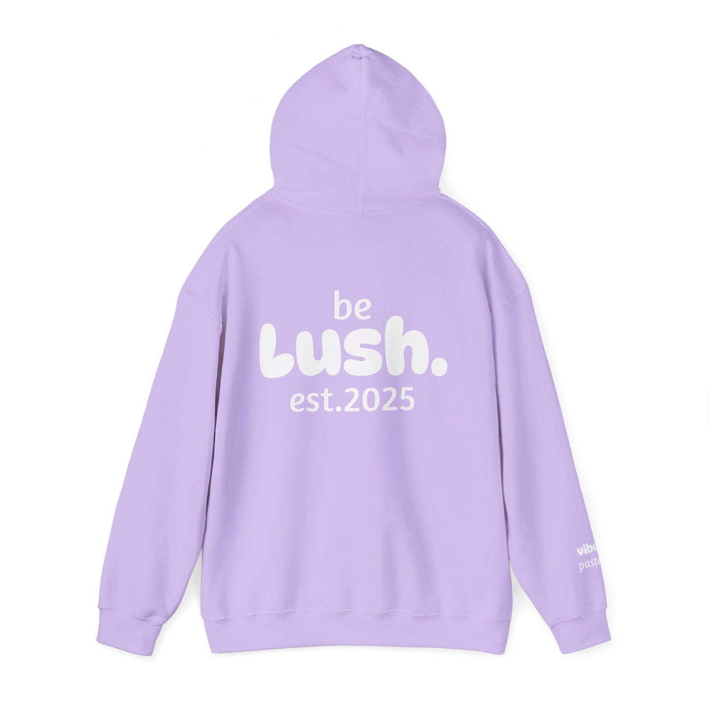 Pastel Style Hoodie