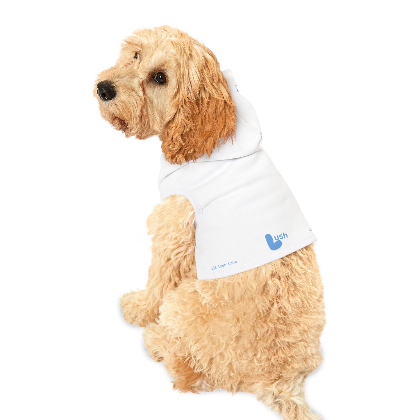 White Blue Pet Hoodie