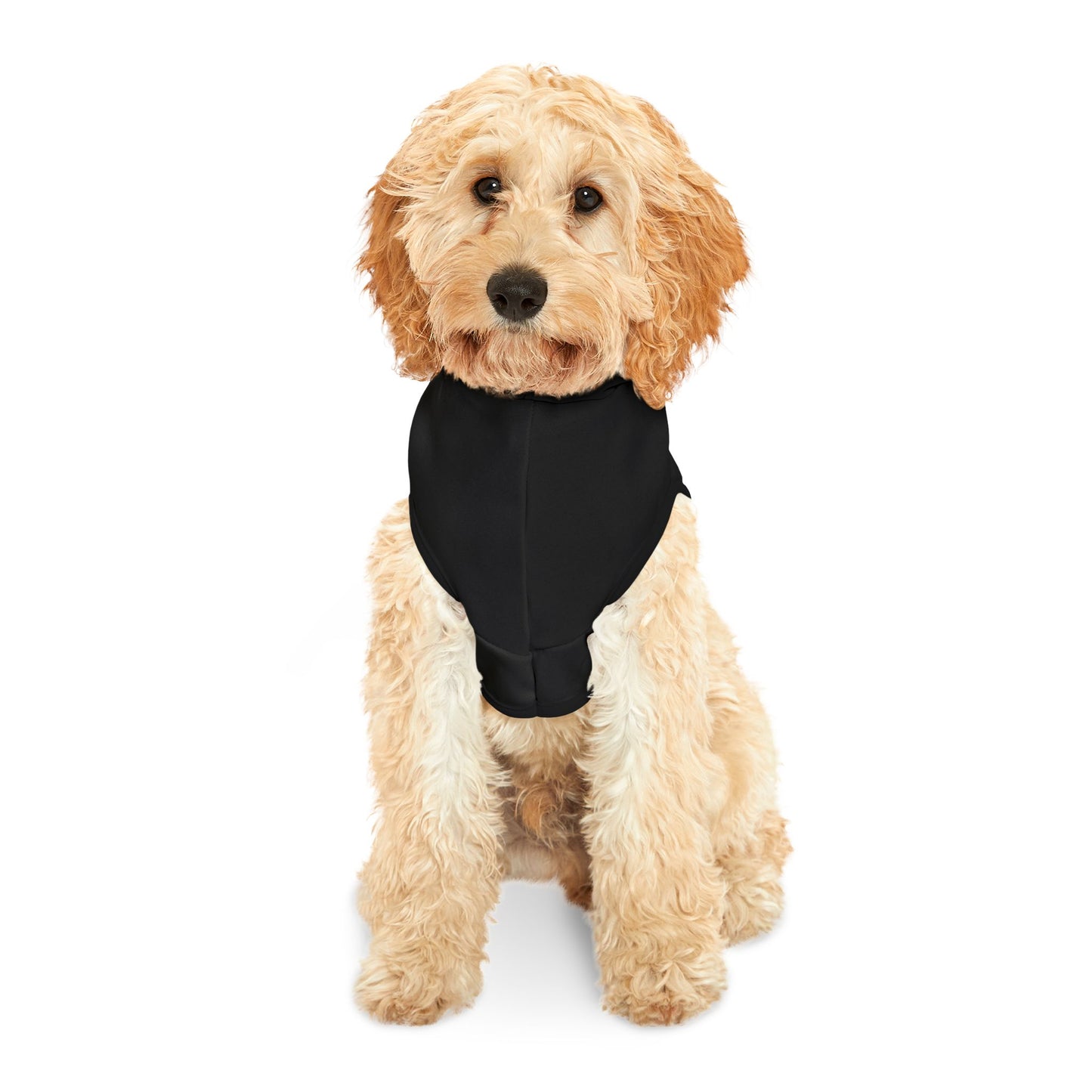 Black Blue Pet Hoodie