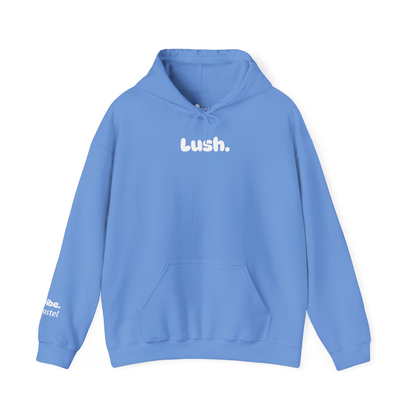 Pastel Style Hoodie