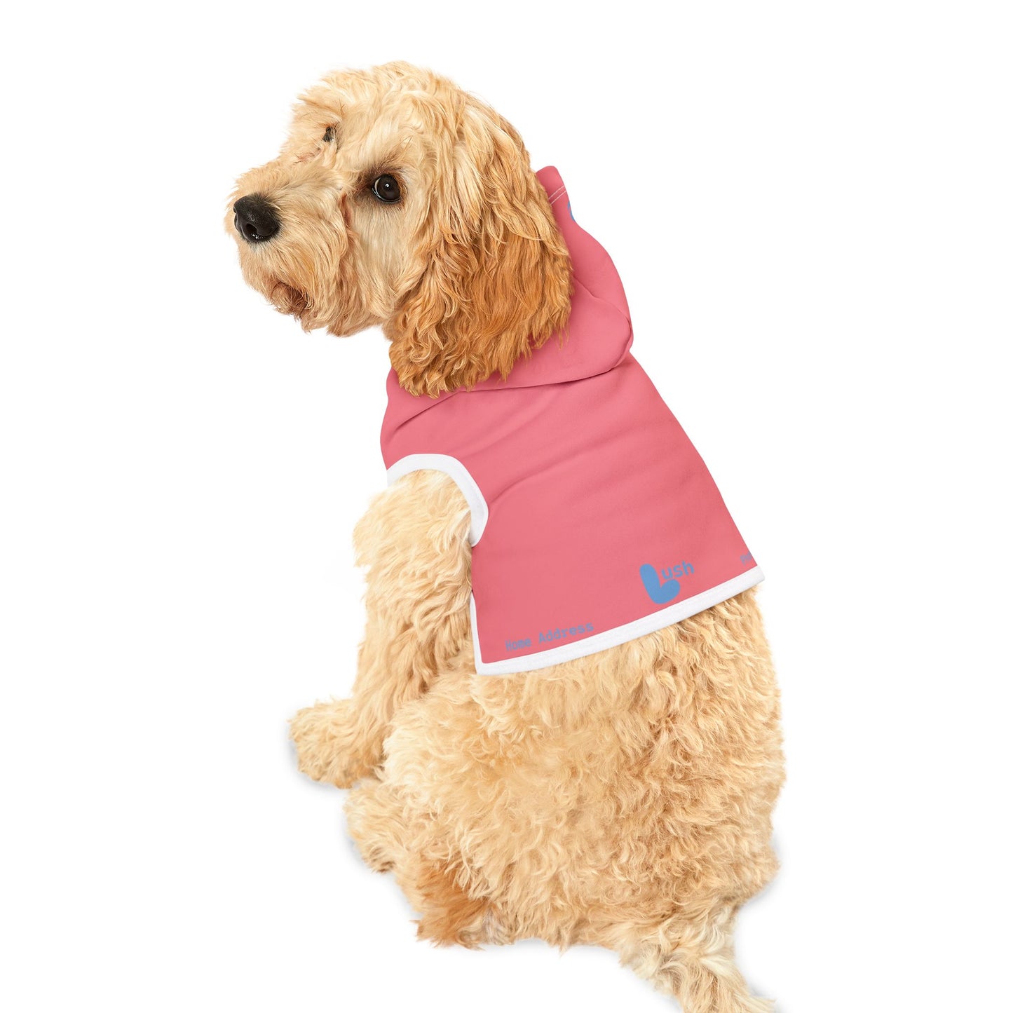 Pastel Safety Pink Pet Hoodie