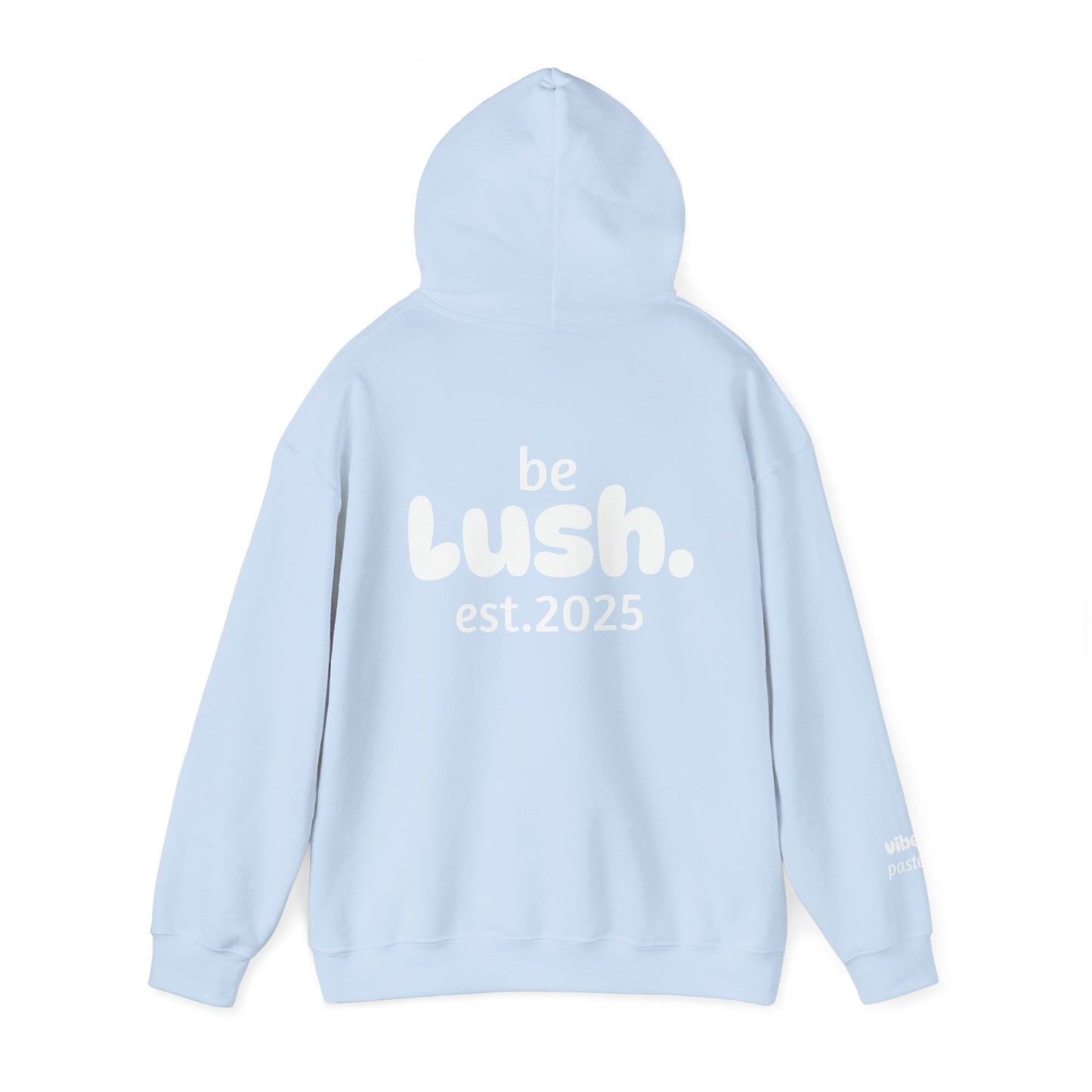 Pastel Style Hoodie