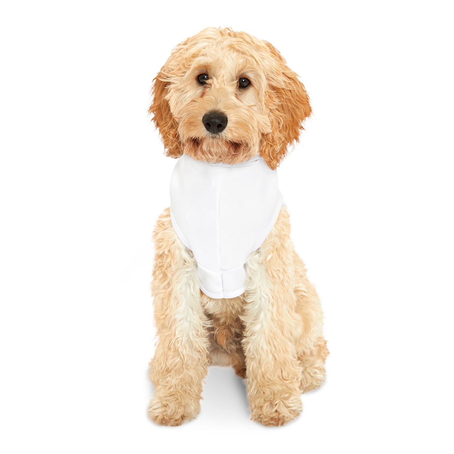 White Blue Pet Hoodie