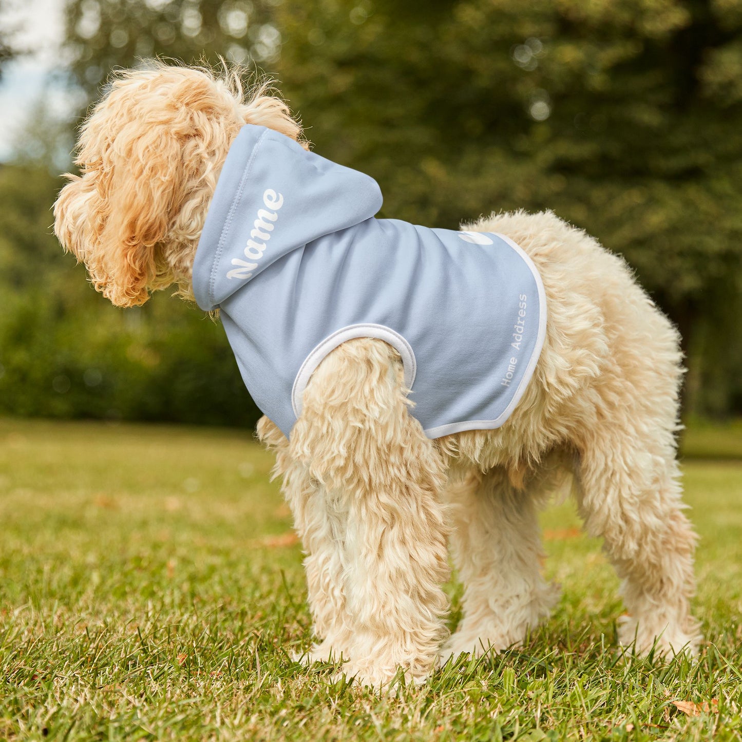 Pastel Light Blue Pet Hoodie